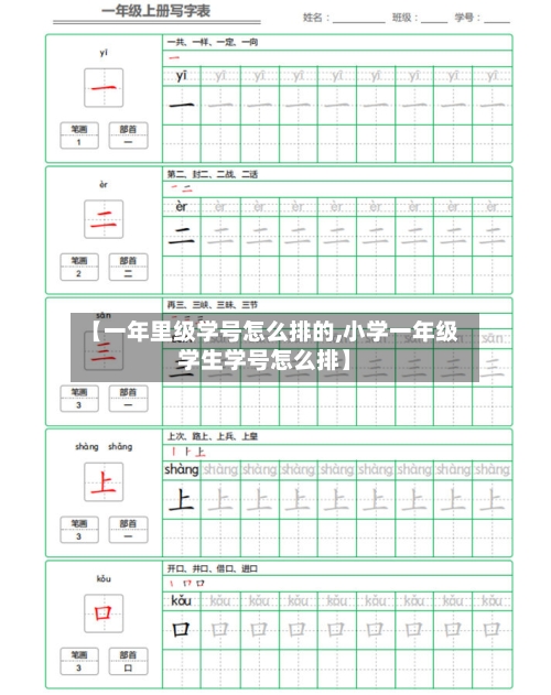 【一年里级学号怎么排的,小学一年级学生学号怎么排】