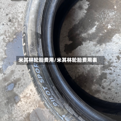 米其林轮胎费用/米其林轮胎费用表-第2张图片