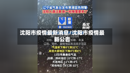沈阳市疫情最新消息/沈阳市疫情最新公告-第3张图片