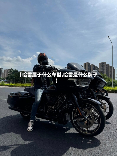 【哈雷属于什么车型,哈雷是什么牌子】-第2张图片