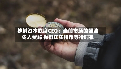 橡树资本联席CEO：当前市场的强劲令人费解 橡树正在持币等待时机-第2张图片