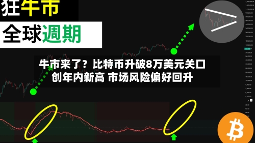 牛市来了？比特币升破8万美元关口创年内新高 市场风险偏好回升-第2张图片