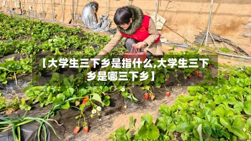 【大学生三下乡是指什么,大学生三下乡是哪三下乡】-第2张图片