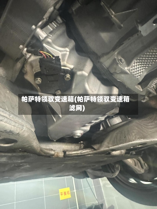 帕萨特领驭变速箱(帕萨特领驭变速箱滤网)-第2张图片
