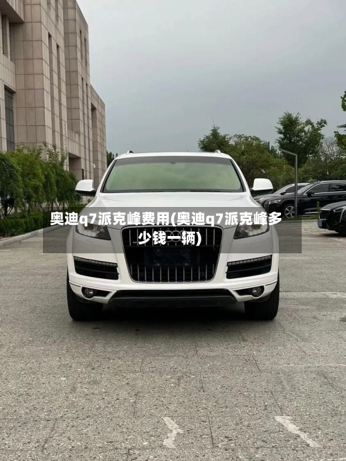 奥迪q7派克峰费用(奥迪q7派克峰多少钱一辆)-第2张图片