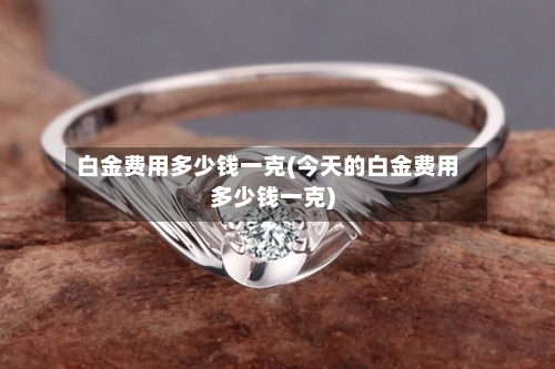 白金费用多少钱一克(今天的白金费用多少钱一克)-第2张图片