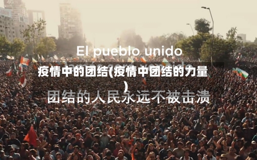 疫情中的团结(疫情中团结的力量)