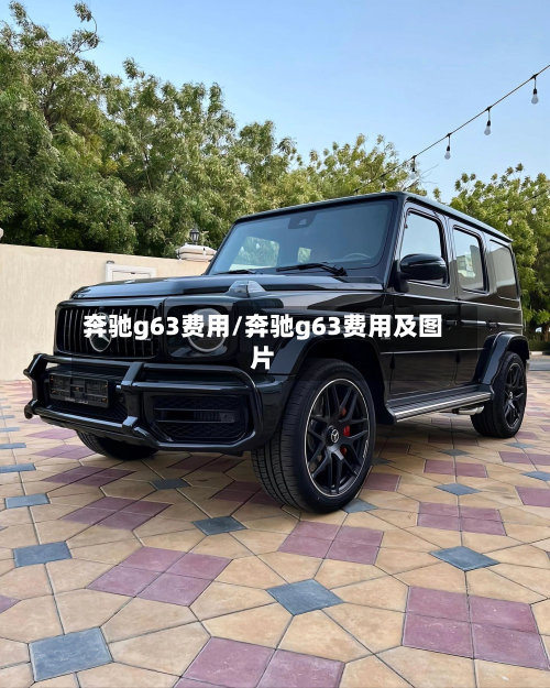 奔驰g63费用/奔驰g63费用及图片-第2张图片