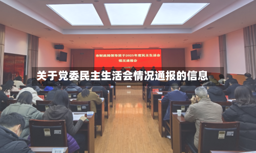 关于党委民主生活会情况通报的信息-第2张图片