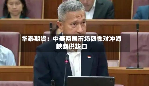 华泰期货：中美两国市场韧性对冲海峡断供缺口-第3张图片