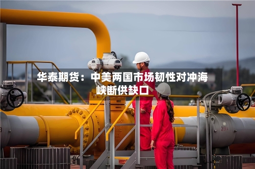 华泰期货：中美两国市场韧性对冲海峡断供缺口-第2张图片