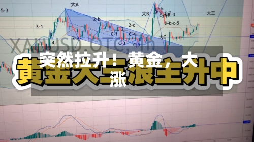 突然拉升！黄金，大涨-第3张图片