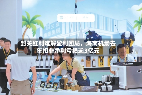 封关红利难解盈利困局，海南机场去年扣非净利亏损逾3亿元-第2张图片