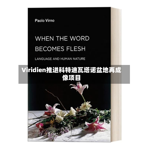 Viridien推进科特迪瓦塔诺盆地再成像项目