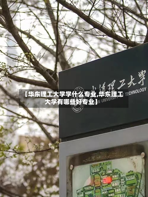 【华东理工大学学什么专业,华东理工大学有哪些好专业】