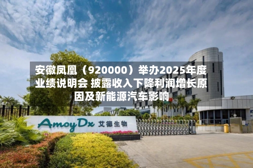 安徽凤凰（920000）举办2025年度业绩说明会 披露收入下降利润增长原因及新能源汽车影响-第2张图片