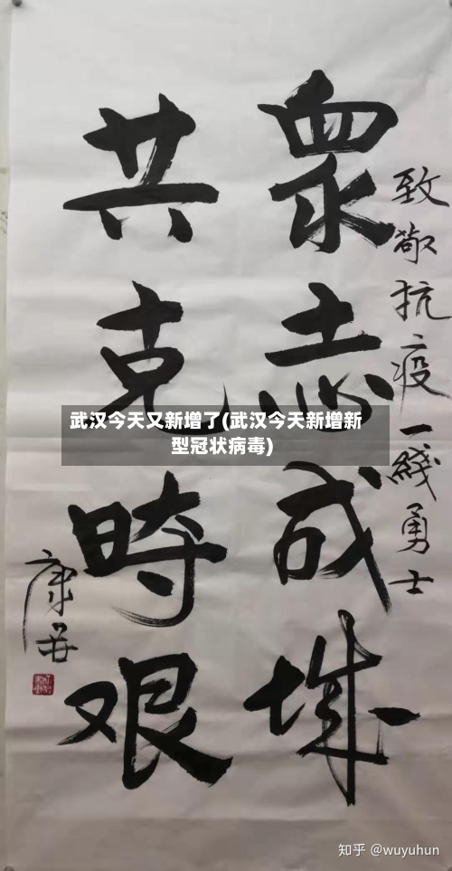 武汉今天又新增了(武汉今天新增新型冠状病毒)