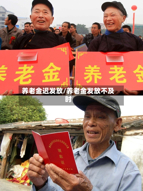养老金迟发放/养老金发放不及时