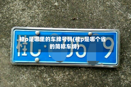 桂p是哪里的车牌号码(桂p是哪个省的简称车牌)