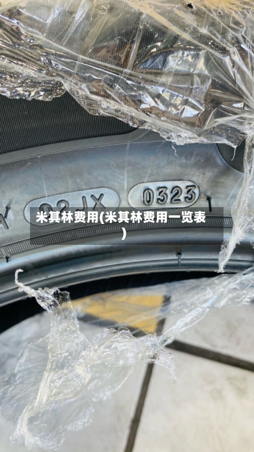 米其林费用(米其林费用一览表)-第2张图片