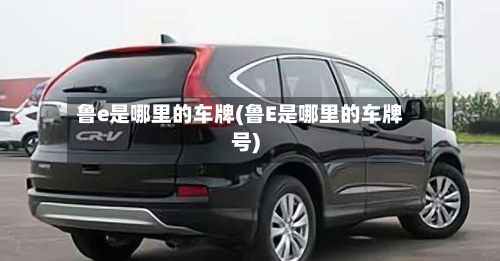 鲁e是哪里的车牌(鲁E是哪里的车牌号)-第2张图片