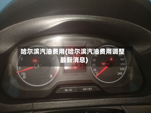 哈尔滨汽油费用(哈尔滨汽油费用调整最新消息)-第2张图片
