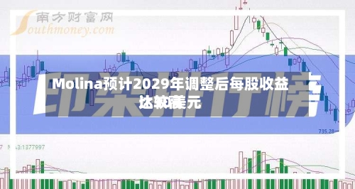 Molina预计2029年调整后每股收益比较高达30美元-第3张图片