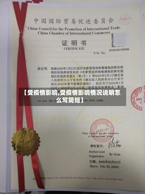 【受疫情影响,受疫情影响情况说明怎么写简短】-第3张图片