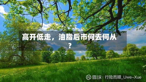 高开低走，油脂后市何去何从？-第2张图片