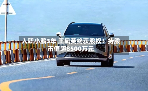 入职小鹏3年 王凤英终获股权!持股市值超8500万元