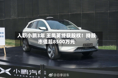 入职小鹏3年 王凤英终获股权！持股市值超8500万元-第2张图片