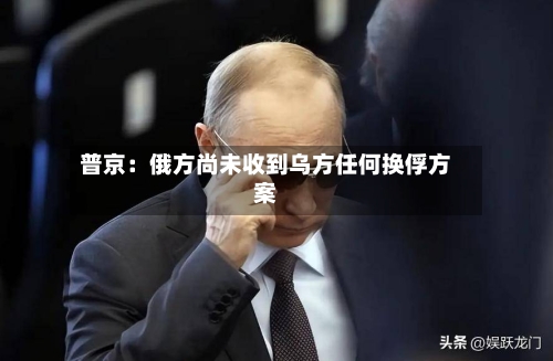 普京:俄方尚未收到乌方任何换俘方案