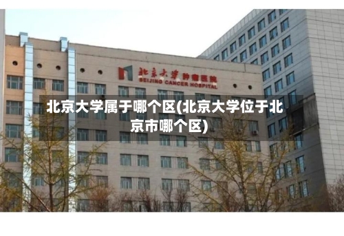 北京大学属于哪个区(北京大学位于北京市哪个区)