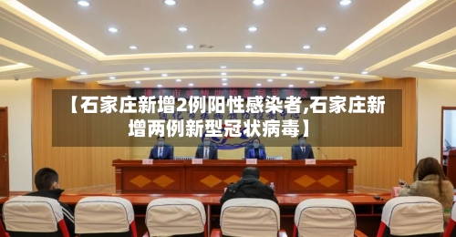 【石家庄新增2例阳性感染者,石家庄新增两例新型冠状病毒】-第3张图片