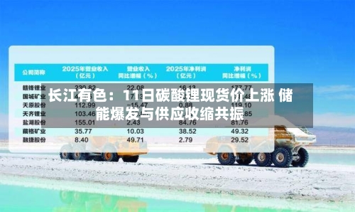 长江有色：11日碳酸锂现货价上涨 储能爆发与供应收缩共振
