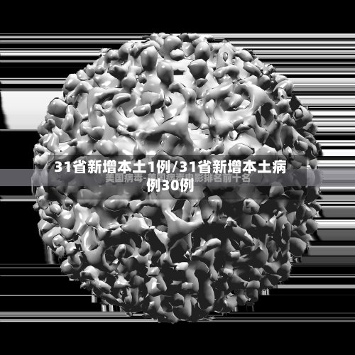 31省新增本土1例/31省新增本土病例30例
