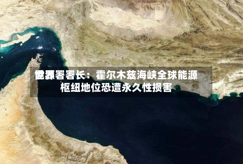 世界能源署署长：霍尔木兹海峡全球能源枢纽地位恐遭永久性损害-第2张图片