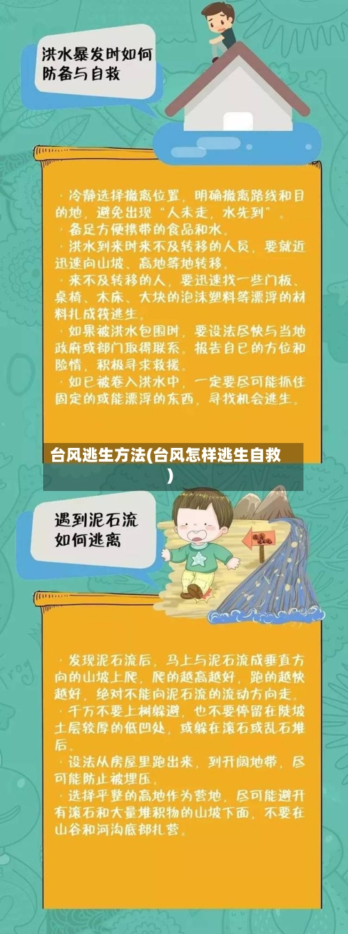 台风逃生方法(台风怎样逃生自救)-第3张图片