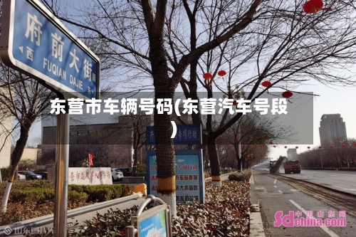 东营市车辆号码(东营汽车号段)