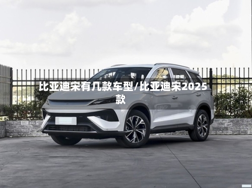 比亚迪宋有几款车型/比亚迪宋2025款