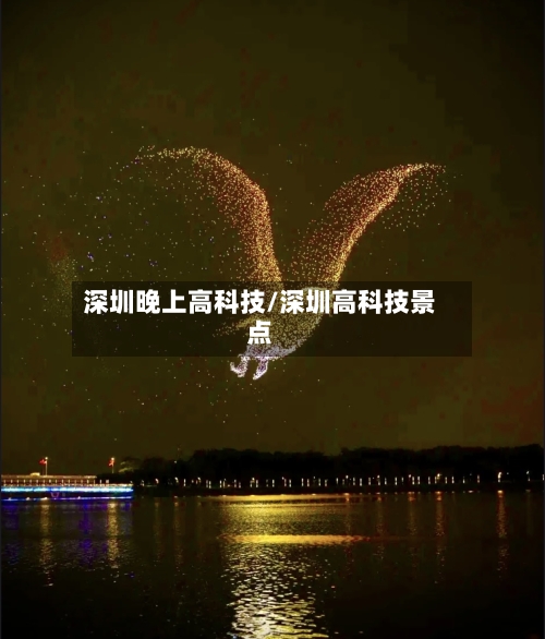 深圳晚上高科技/深圳高科技景点