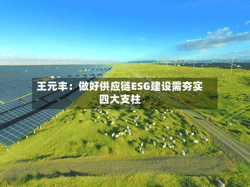 王元丰：做好供应链ESG建设需夯实四大支柱-第2张图片