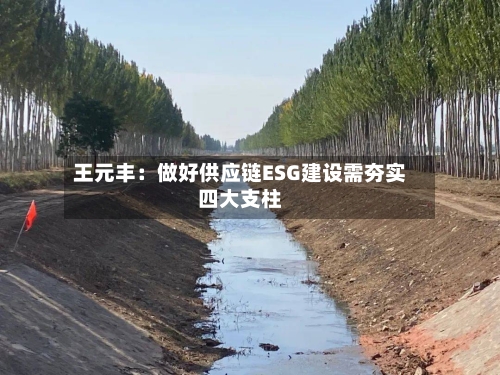 王元丰：做好供应链ESG建设需夯实四大支柱
