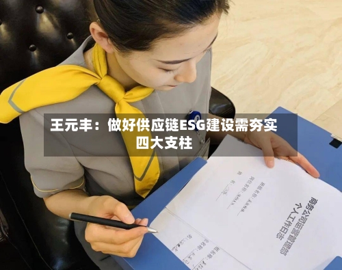 王元丰：做好供应链ESG建设需夯实四大支柱-第3张图片