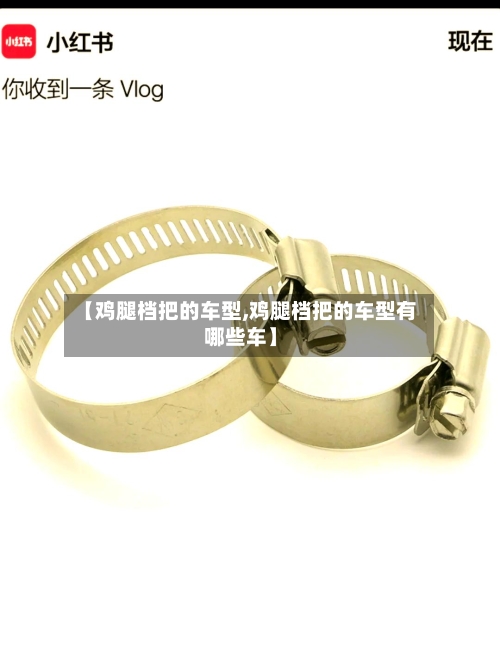 【鸡腿档把的车型,鸡腿档把的车型有哪些车】