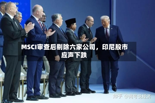 MSCI审查后剔除六家公司	，印尼股市应声下跌-第2张图片