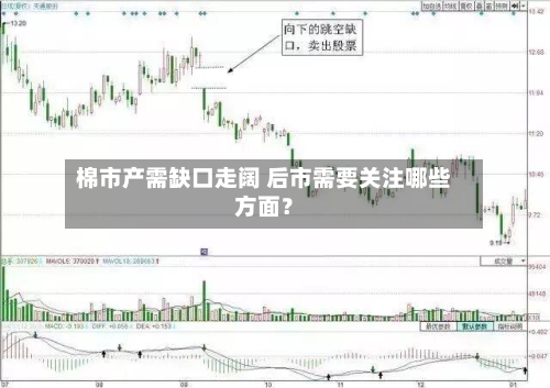 棉市产需缺口走阔 后市需要关注哪些方面？-第3张图片
