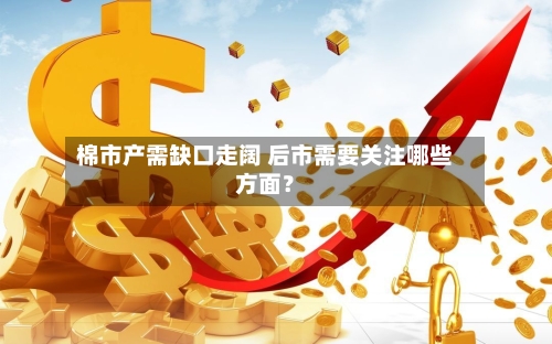 棉市产需缺口走阔 后市需要关注哪些方面？-第2张图片