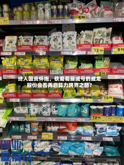 终入国资怀抱,砍葡萄藤减亏的威龙股份会否再启算力跨界之路?