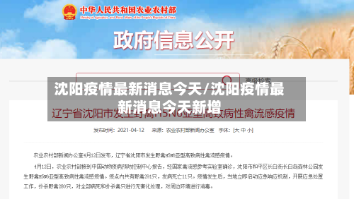 沈阳疫情最新消息今天/沈阳疫情最新消息今天新增